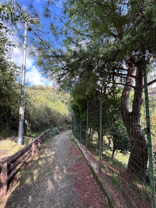 Apartment La Casetta Di Roby Con Giardino Privato Genua